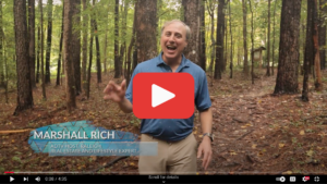 Explore Raleigh with Marshall Rich - Rich Realty